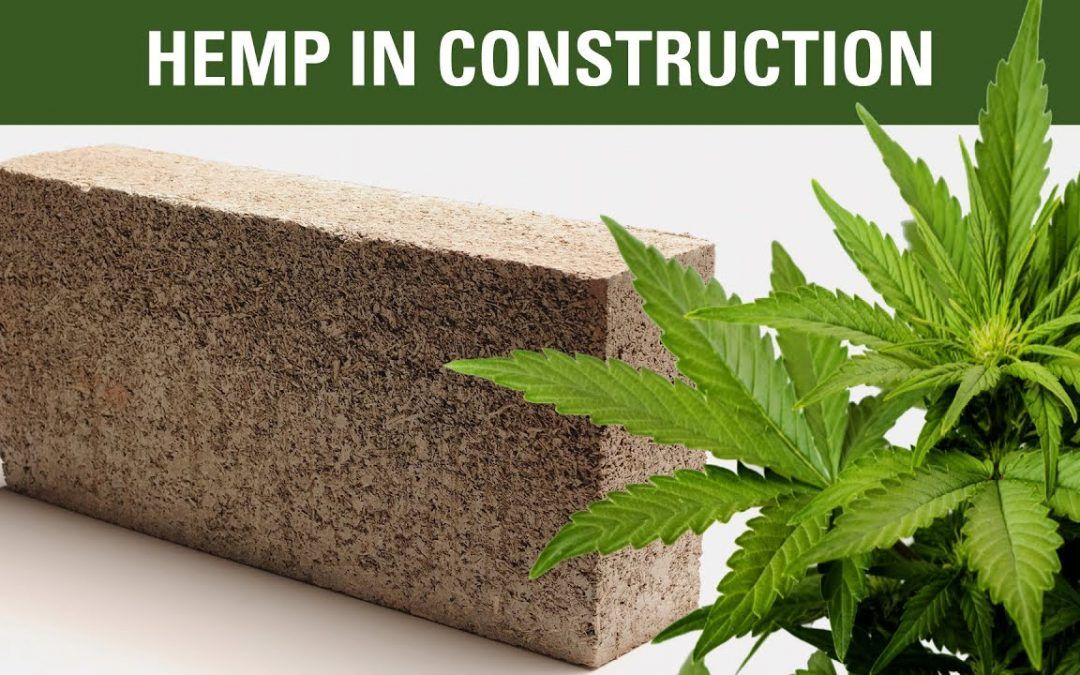 Industrial-Hemp-Based-Bricks