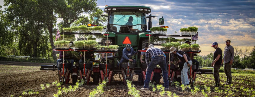 farmers-are-growing-hemp-845x321